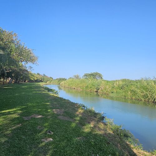 Photo #10359498