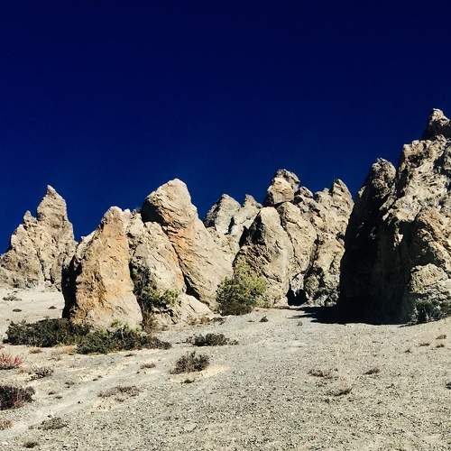 Photo #10359512