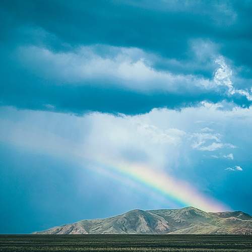 Photo #10359582