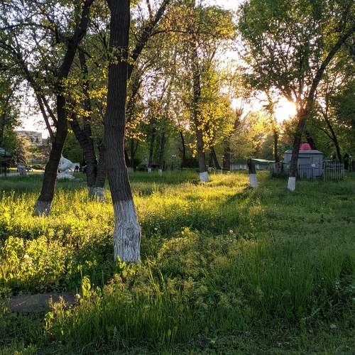 Photo #10359592
