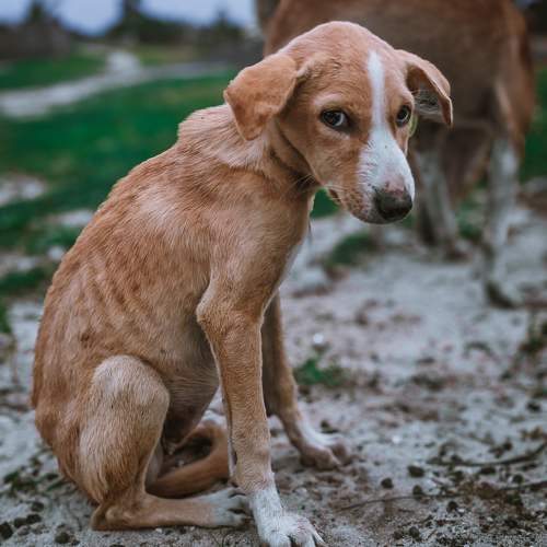 Photo #10359616