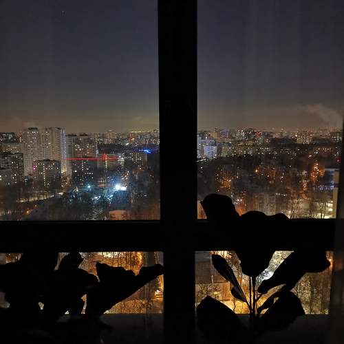 Photo #10359701