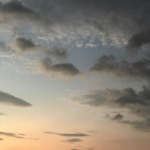 Photo #10359771