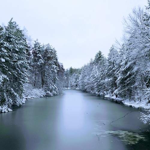 Photo #10360042