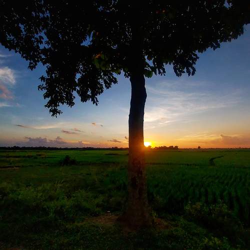 Photo #10360050