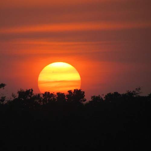 Photo #10360059