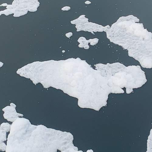 Photo #10360162