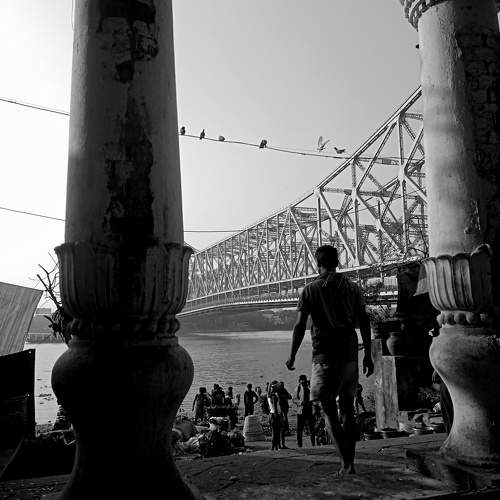 Photo #10360364