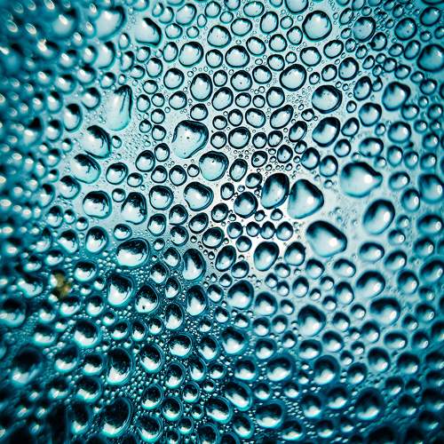 Photo #10360555