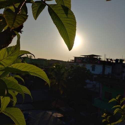 Photo #10360622
