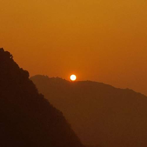 Photo #10360665