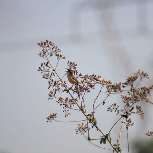 Photo #10360683