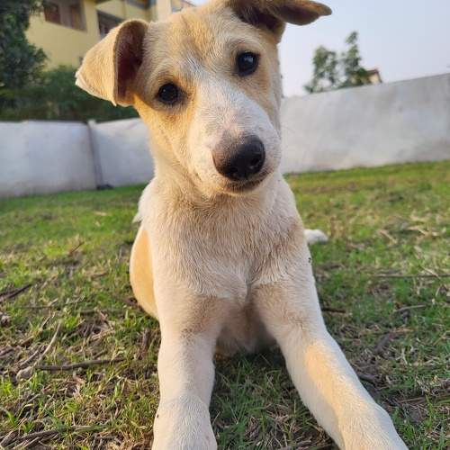 Photo #10360734