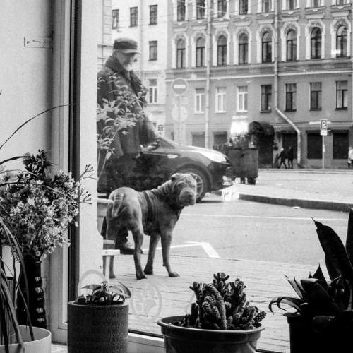 Photo #10360736