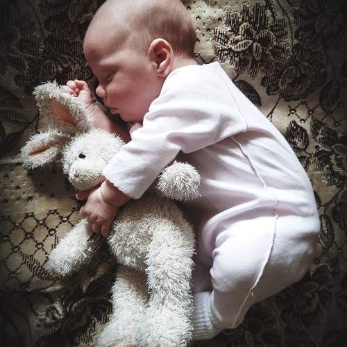 Photo #10360752