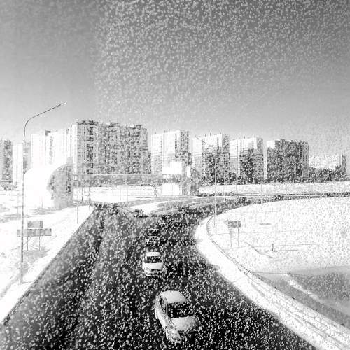 Photo #10360821