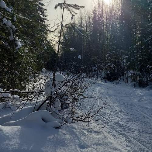 Photo #10360890