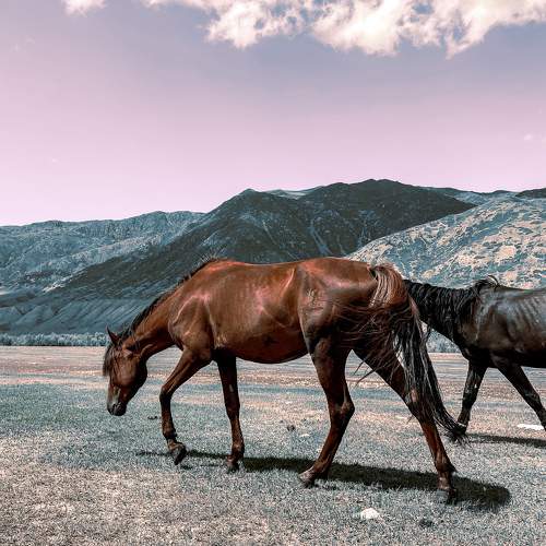 Photo #10360947