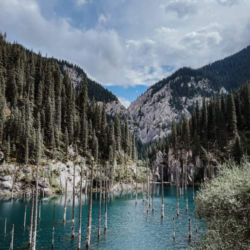Photo #10360957