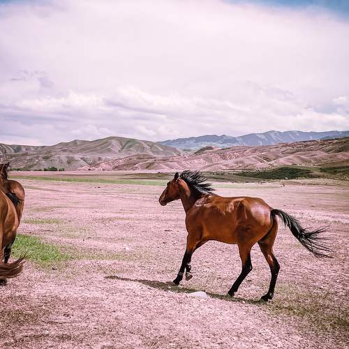 Photo #10361034