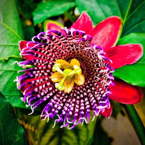 Photo #10361073
