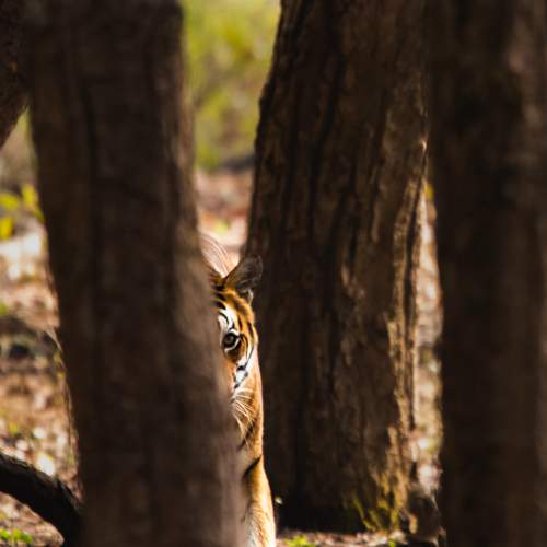 Photo #10361556