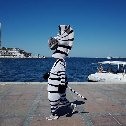 Photo #10361667