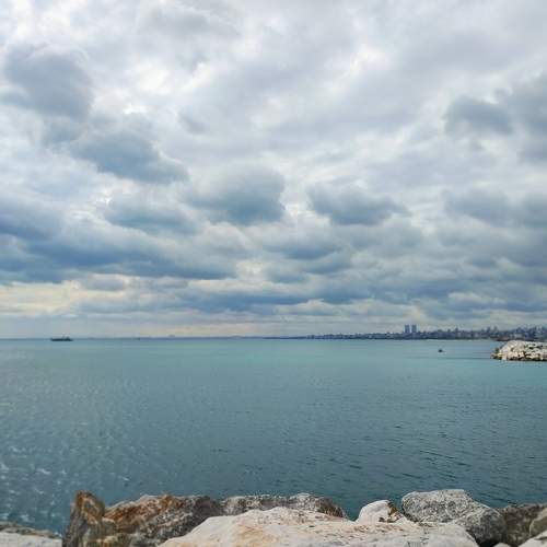Photo #10361854