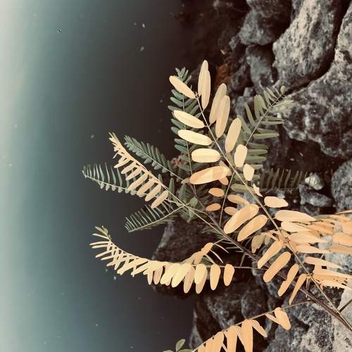 Photo #10361871
