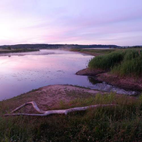 Photo #10361909