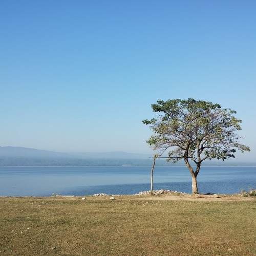 Photo #10362075