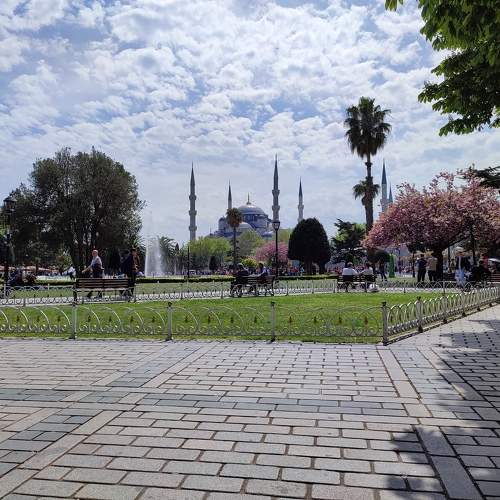 Photo #10362116