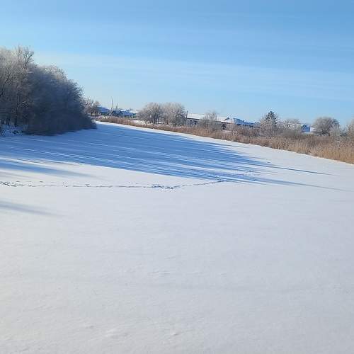 Photo #10362130