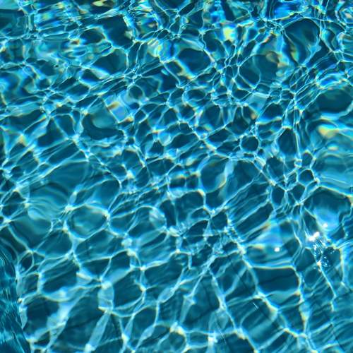 Photo #10362136