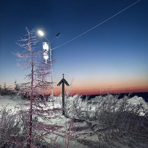 Photo #10362278