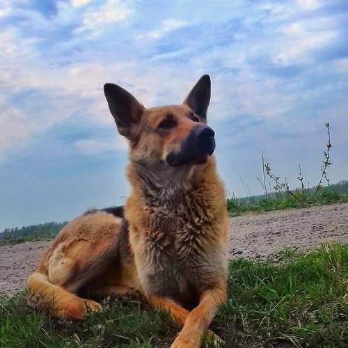 Photo #10362353