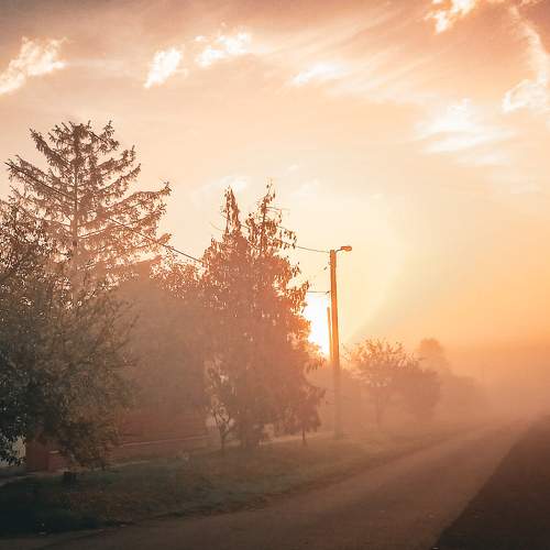Photo #10362386