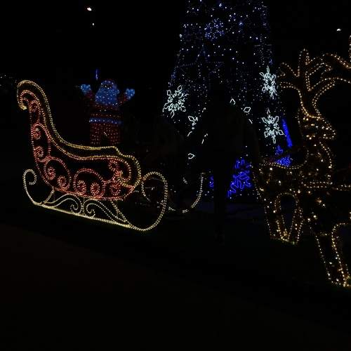 Photo #10362429