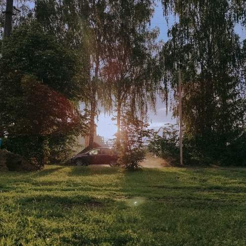 Photo #10362548