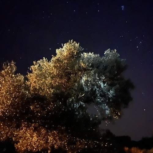 Photo #10362550