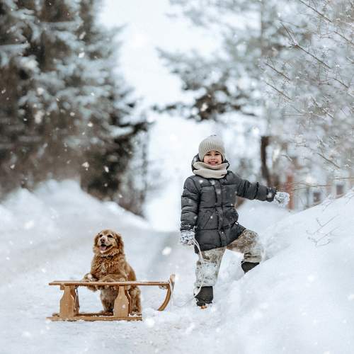 Photo #10362642