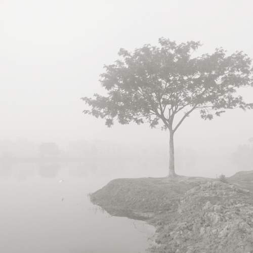 Photo #10362747