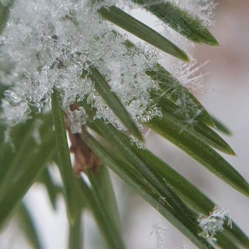 Photo #10362760