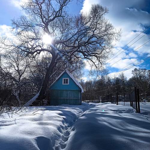 Photo #10363088