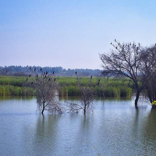 Photo #10363188