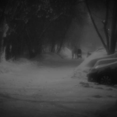 Photo #10363369