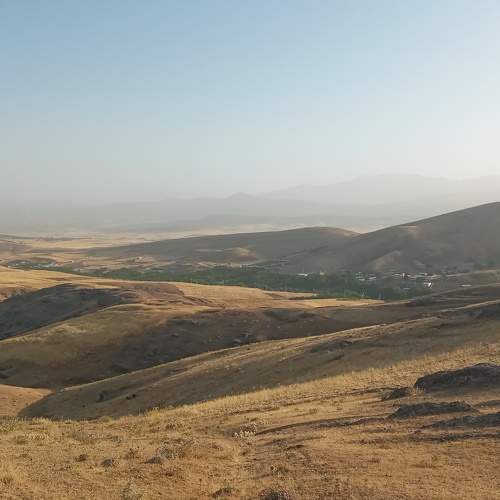 Photo #10363394