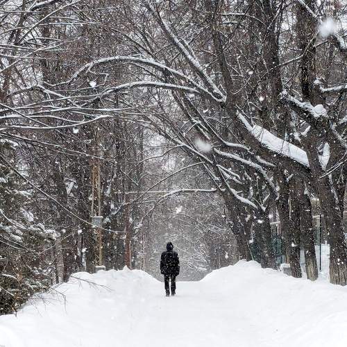 Photo #10363406