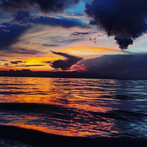 Photo #10363432