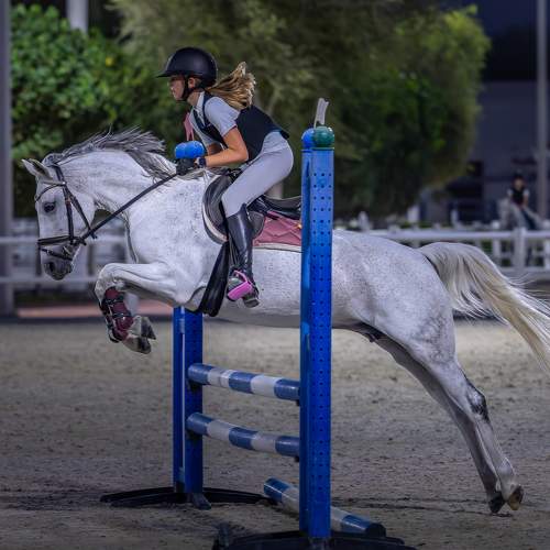 Фотография #10363503